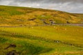 Aerial panorama of the scenic Cliffs of Moher in Ireland Royalty Free Stock Photo