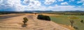 Fields and grasslands on bright summer day in Australia.