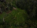 Aerial panorama view of green Tegallalang rice terraces paddies field farm tourist attraction Ubud Bali Indonesia Asia Royalty Free Stock Photo