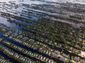 Aerial panorama view of houses on Vinkeveense Plassen lake with thousand islands river canals Utrecht Netherlands Europe Royalty Free Stock Photo