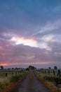 Aerial panorama view scene romantic pink sky on sunrise over a natural rural area with fields and trees. abstract nature Royalty Free Stock Photo