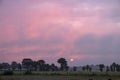 Aerial panorama view scene romantic pink sky on sunrise over a natural rural area with fields and trees. abstract nature Royalty Free Stock Photo