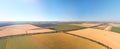 Aerial panorama of wheat meadow