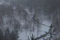 Aerial panoramic foggy view from the top of Puckoriai mound in winter in Lithuania. Snow covered ground, winding Vilnia river and Royalty Free Stock Photo