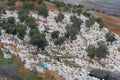 Aerial panoramic view of the Muslim cemetery in Fes, Morocco Africa