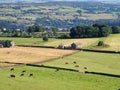 Aerial panoramic view of west yorkshire countryside in the calder valley near luddenden with cows grazing in meadows and Royalty Free Stock Photo