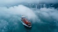 Cargo ship navigating Hong Kong bay under low clouds