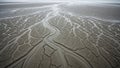 Aerial view of a dry riverbed with intricate branching patterns of mud cracks Royalty Free Stock Photo