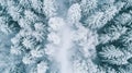 Aerial perspective of snow-covered woodland