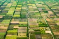 Aerial photo agro Royalty Free Stock Photo