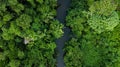 Aerial photo of amazon rain forest jungle in Peru