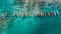 Aerial photo of big group of surfers paddle out together. Colore
