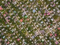 Aerial photo of cottage town