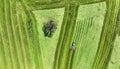 Aerial photo with drone of tractor making hay on a meadow with tree in bavaria Royalty Free Stock Photo