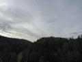 aerial photo of the forest in bavaria with dense needle trees and clearings as a green Royalty Free Stock Photo