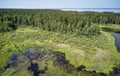 Aerial photo of forest bog in the Karakansky pine forest near the shore of the Ob reservoir Royalty Free Stock Photo