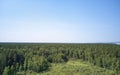 Aerial photo of forest bog in the Karakansky pine forest near the shore of the Ob reservoir Royalty Free Stock Photo