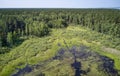Aerial photo of forest bog in the Karakansky pine forest near the shore of the Ob reservoir Royalty Free Stock Photo