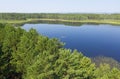 Aerial photo of forest boggy lake in the Karakansky pine forest near the shore of the Ob reservoir