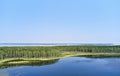 Aerial photo of forest boggy lake in the Karakansky pine forest near the shore of the Ob reservoir Royalty Free Stock Photo