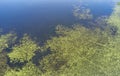 Aerial photo of forest boggy lake in the Karakansky pine forest near the shore of the Ob reservoir