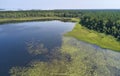 Aerial photo of forest boggy lake in the Karakansky pine forest near the shore of the Ob reservoir