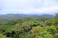 aerial photo of monteverde national park in costa rica, famous cloud forest with unique vegetation, tropical rainforest in the