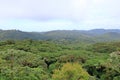 aerial photo of monteverde national park in costa rica, famous cloud forest with unique vegetation, tropical rainforest in the