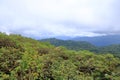 aerial photo of monteverde national park in costa rica, famous cloud forest with unique vegetation, tropical rainforest in the