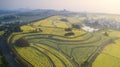 Aerial photo of 10,000 mu rape flower field in nanjing, jiangsu province, China