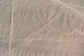 Aerial Picture of the Pelican Geoglyph and a Phytomorphic Glyph - Nazca Lines, Peru