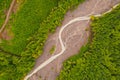 Aerial photo nature river creek and green forest trees