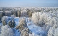 Aerial photo of nbirch forest in winter season. Drone shot of trees covered with hoarfrost and snow Royalty Free Stock Photo