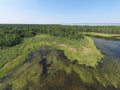 Aerial photo panorama of forest bog in the Karakansky pine forest near the shore of the Ob reservoir Royalty Free Stock Photo