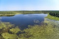 Aerial photo panorama of forest boggy lake in the Karakansky pine forest near the shore of the Ob reservoir Royalty Free Stock Photo