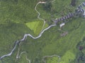 Aerial photo - aerial view of tea plantation in the misty morning.