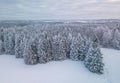 Aerial photo of winter forest surrounded by birch forest. Drone shot of trees covered with hoarfrost and snow. Natural