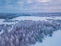 Aerial photo of winter forest surrounded by birch forest. Drone shot of trees covered with hoarfrost and snow. Natural