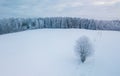 Aerial photo of winter forest surrounded by birch forest. Drone shot of trees covered with hoarfrost and snow. Natural