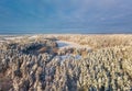 Aerial photo of winter forest surrounded by birch forest. Drone shot of trees covered with hoarfrost and snow. Natural