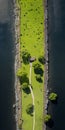 Aerial Photograph Of Green Grass Pathway Near Water