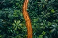 Aerial photograph of a remote dirt road cutting through a dense tropical forest. AI generated. Royalty Free Stock Photo