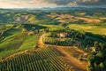 This aerial photograph showcases a scenic vineyard nestled in the picturesque hills, capturing rows of grapevines in full bloom, Royalty Free Stock Photo