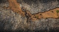 Apocalyptic Aerial Photography: Surreal Savanna Of Cracked Black Wasteland