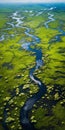 Tranquil Aerial View Of Endless Marsh And Wild Flowers