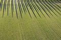 Aerial photographic documentation of the cypresses of the Val Di Orcia Royalty Free Stock Photo