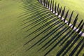 Aerial photographic documentation of the cypresses of the Val Di Orcia Royalty Free Stock Photo