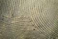 Aerial view of the signs of drought in the fields of Tuscany Italy