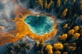 Aerial photography capturing vibrant colors in natural landscapes. Multicolor trees from above