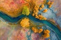 Aerial photography capturing vibrant colors in natural landscapes. Multicolor trees from above